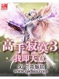 高手寂寞3我即天意